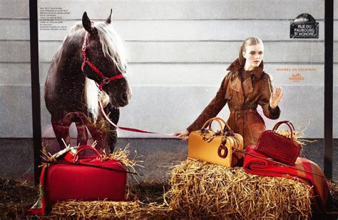 Hermes equestrian line